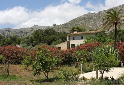 Image for Cala San Vicente, Mallorca