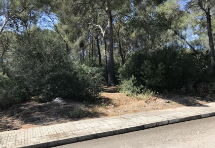Image for Nova Santa Ponsa, Mallorca