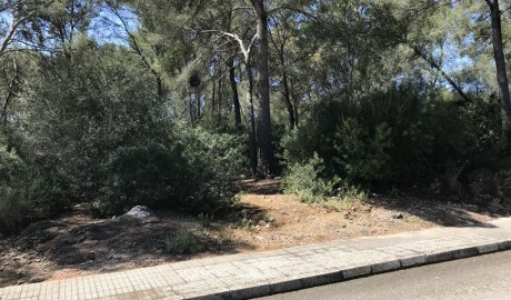 Image for Nova Santa Ponsa, Mallorca