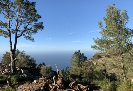 Image for Deia, Mallorca