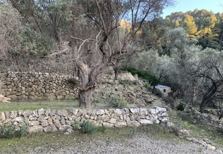 Image for Deia, Mallorca